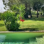 Le Patio, D Hotes Pour Adultes En Camargue, Possibilite De Naturisme A La Piscine,