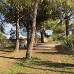Le Patio, D Hotes Pour Adultes En Camargue, Possibilite De Naturisme A La Piscine, فندق مبيت وإفطار ايمارغوس