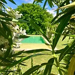 فندق مبيت وإفطار Le Patio, D Hotes Pour Adultes En Camargue, Possibilite De Naturisme A La Piscine, 4*