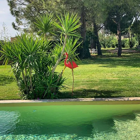 Le Patio, D Hotes Pour Adultes En Camargue, Possibilite De Naturisme A La Piscine,