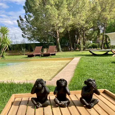 Le Patio, D Hôtes Pour Adultes En Camargue, Possibilité De Naturisme à La Piscine, *