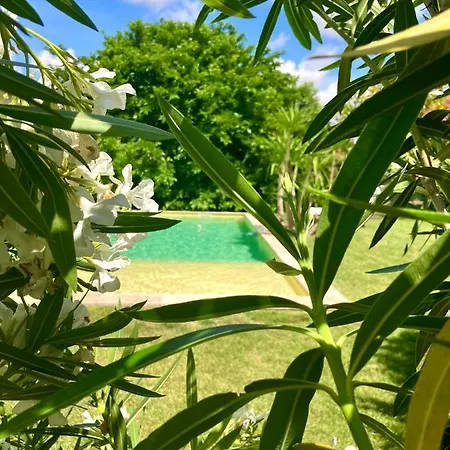 Bed & Breakfast Le Patio, D Hotes Pour Adultes En Camargue, Possibilite De Naturisme A La Piscine, 4*