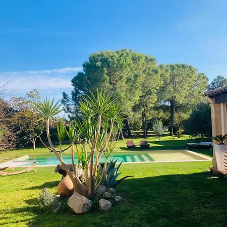 Le Patio, D Hotes Pour Adultes En Camargue, Possibilite De Naturisme A La Piscine,