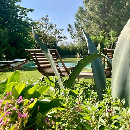 Le Patio, D Hotes Pour Adultes En Camargue, Possibilite De Naturisme A La Piscine, 4*