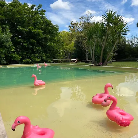 Le Patio, D Hôtes Pour Adultes En Camargue, Possibilité De Naturisme à La Piscine, Bed and breakfast 4*