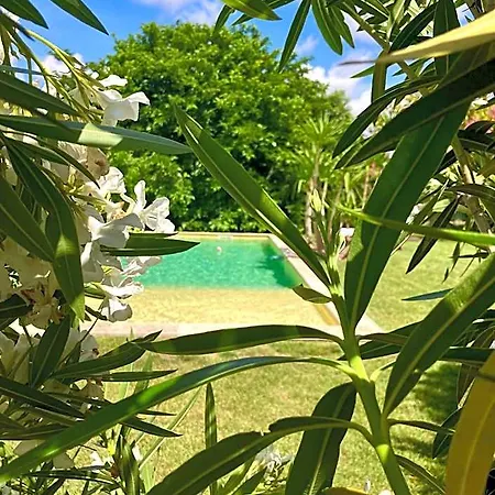 Le Patio, D Hotes Pour Adultes En Camargue, Possibilite De Naturisme A La Piscine,