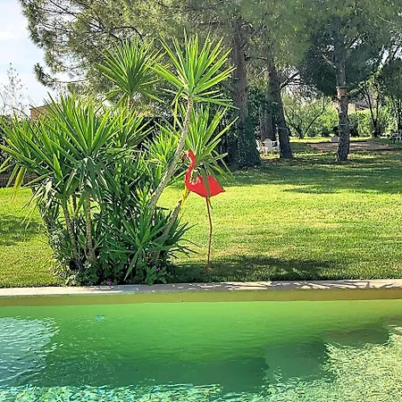 Le Patio, D Hotes Pour Adultes En Camargue, Possibilite De Naturisme A La Piscine, Aimargues